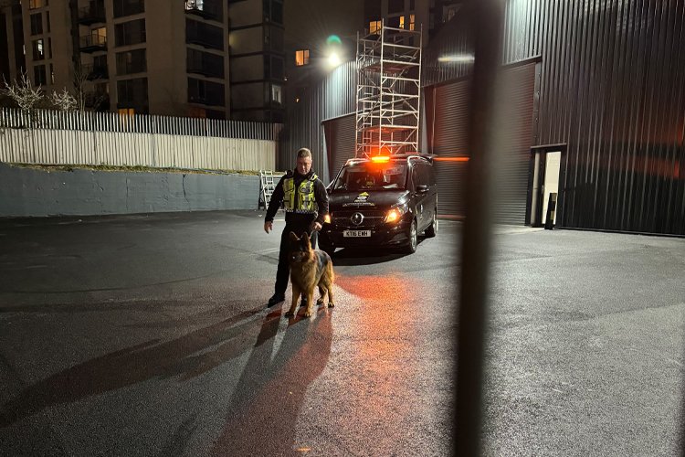 Our team of professional security dog handlers in London is dedicated to providing top-tier protection services. With highly trained canines and experienced handlers, we offer unmatched security solutions for a wide range of environments, ensuring safety and peace of mind.